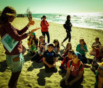ECOESCUELA DE VERANO 2018